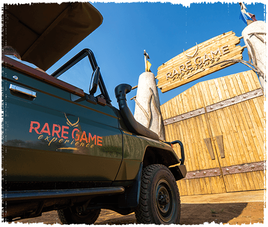 Game vehicle in front of large wooden entrance gate