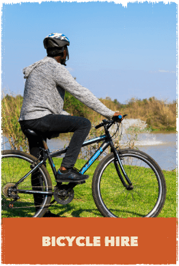 Cyclist leaning against bike whilst looking pond